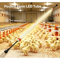 Éclairage LED pour volailles à intensité variable 2700k-6500k, rouge et blanc commutable, lampes d'élevage, étanches IP67, résistantes à l'ammoniac, CRI80, garantie 5 ans