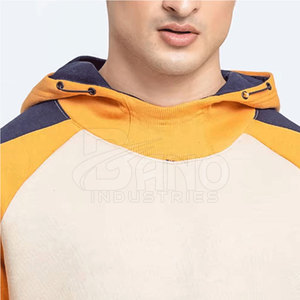 Prix de gros – Nouveaux sweats à capuche pour hommes en molleton doux 100 % coton, style tendance, personnalisables, écologiques, séchage rapide, pour l'hiver – En promotion - Product Image 3