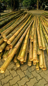 Bâtons de bambou naturel en gros, solides et résistants, pour l'agriculture et l'aménagement paysager - Product Image 4
