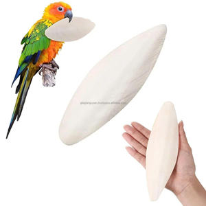 Os de seiche concassés pour l'alimentation des oiseaux, couleur naturelle et os de seiche blanchis, en carton. - Product Image 4