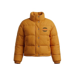 Hooded Quilted Waterproof <b>Bubble</b> Jacket Black Full Sleeve Winter Windproof Cotton Shell Knitted Fabric Polyester Filling Stand - Product Image 1