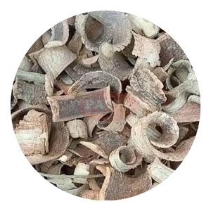 Écorce botanique entière de Kuda Chaal (Holarrhena antidysenterica) - Inde - Product Image 1