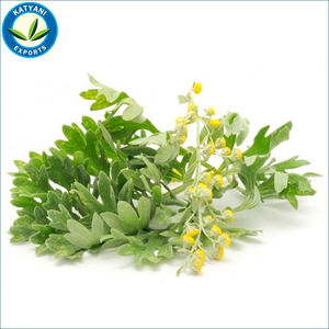 Aceite de ajenjo de la mejor calidad, pedido Global al mejor precio - Product Image 4