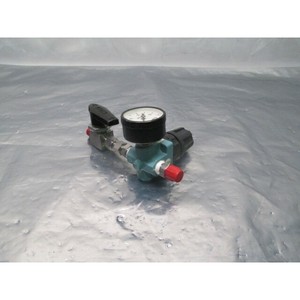Régulateur Dixon avec manomètre USG, vanne à boisseau sphérique SS-43S4 - Équipements et pièces semi-conductrices de renommée mondiale - Product Image 3