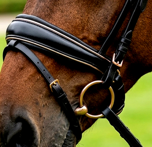 Brida Premium HM Global Equestrian con ceñidor de cuero DD de vaca suave de 10 mm y frontal de cuero con cristales Arena para salto GP Full Cob - Product Image 5