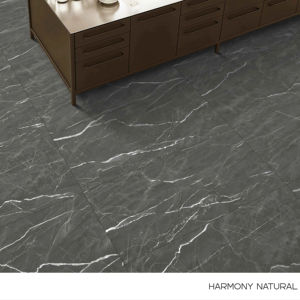 กระเบื้องพอร์ซเลนแกะสลักลายขนาดใหญ่ ดีไซน์หรูหรา 600x1200 ผิวสัมผัสพรีเมียม สำหรับตกแต่งผนังและพื้น ภายในและภายนอกอาคาร ทันสมัย - Product Image 1