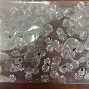 ข้าวขาวจัสมิน [เกรดเอ] |   29/5/2026 10:36 น. |   179/26 - Product Image 1