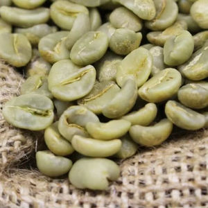 เมล็ดกาแฟดิบพรีเมียมขายส่งโดยตรงจากฟาร์ม - Product Image 3
