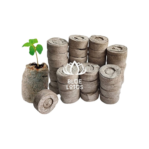 Prêt à expédier : Granulés de coco, combustible biomasse propre pour le chauffage des chaudières et l'énergie industrielle, faible teneur en cendres et manipulation facile en vrac - Product Image 1