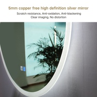 Miroir de salle de bain LED de forme ovale pour la décoration d'hôtel, miroirs de salle de bain fantaisie sur mesure ODM
