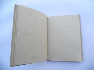 Agenda, carnet de notes, planificateur, journal de haute qualité, couverture rigide, motif feuille en relief, pour étudiants, cadeaux d'affaires, vente en gros - Product Image 3