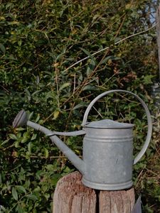 Arrosoir de jardin élégant en métal avec long bec, pot d'arrosage pour plantes d'intérieur, balcon et pots de fleurs - Product Image 2
