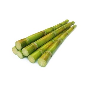 Canne à sucre biologique fraîche, douceur naturelle, directement de la ferme - Product Image 2