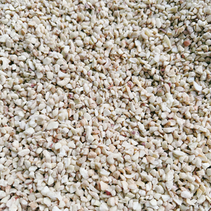 Trusted Factory Broken Cashew <b>Nuts</b> <b>Kernels</b> Kaju Badam Split Cashews SANTIGO OEM, ODM Packaging - Product Image 3