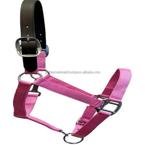 Fancy Colorful Nylon Webbing Extra Comfort Nylon Horse Halter en COB completo sobre tamaños con doble corona Hebilla de níquel y anillos - Product Image 4