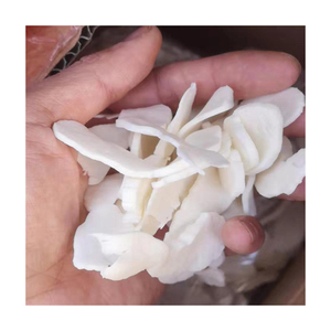 Cire de coco de qualité supérieure pour les besoins commerciaux de grande envergure - Product Image 2