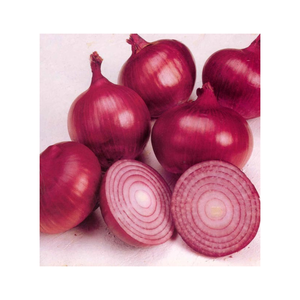 Oignons Rouges Frais en Gros de Haute Qualité 100% Naturels, Forts et Savoureux, Bulbes d'Oignon Ferme et Croustillants pour la Distribution Mondiale aux Acheteurs - Product Image 5