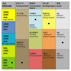 Té verde de jazmín premium taiwanés, que cumple con los estándares de EE. UU. y la UE, con un aroma floral suave y un sabor agradable. - Product Image 2