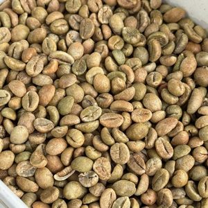 เมล็ดกาแฟโรบัสต้าฮันนี่ ผลผลิตสดใหม่จากเวียดนาม คุณภาพสูง ความเสียหายต่ำ 12.5% ความชื้น กระบวนการธรรมชาติ บรรจุถุง 60 กก. จำหน่ายส่ง - Product Image 1
