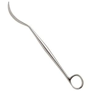 LANE 255mm Bone Leviers Fabricant Fournisseur Prix de gros Acier inoxydable par VIDIFIVE INTERNATIONAL - Product Image 1