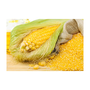 Alimento de Gluten de Maíz de Alto Rendimiento, Ingrediente Nutritivo para Alimentación de Ganado, para Agricultura Comercial, Servicio OEM - Product Image 1