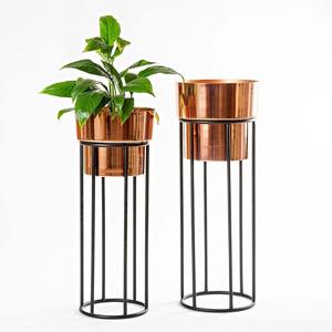 Ensemble de 2 pots à fleurs de style moderne, décoration de centre de table pour salon, utilisation en extérieur et en intérieur, pot rond en métal, décoration de la maison, plante - Product Image 2
