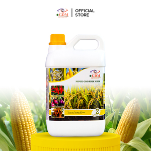 Solución Avanzada de Fertilizante Orgánico GDM para la Agricultura del Maíz, Nutrición Vegetal y Mayor Rendimiento en Asia, África y Australia - Product Image 1