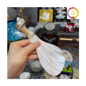 ช้อนเปลือกหอยมุก |   งานฝีมือเปลือกหอย |   กาแฟสำหรับของหวาน |   ผู้ผลิตขายส่ง - Product Image 2
