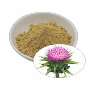 Poudre de graines de chardon-marie 100 % pure OEM, suppléments alimentaires naturels de Silybum Marianum pour tisanes, détox et soutien digestif - Product Image 1