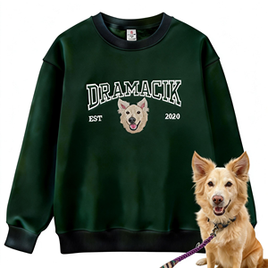 Personnalisé Brodé Cavalier King <span class=keywords><strong>Charles</strong></span> Spaniel Sweat À Capuche Hiver Automne 3D Motif Tissé Tissu Avant Badge Nom - Product Image 2
