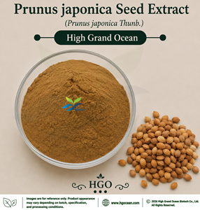 โรงงาน HGO จัดจำหน่ายโดยตรง สารสกัดจากเมล็ดพุทราจีน (Prunus japonica) เกรดอาหาร อัตราส่วน 4:1 5:1 10:1 20:1 100:1 200:1 - Product Image 1