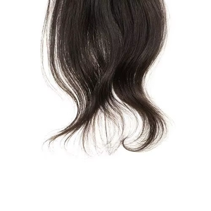 Divine Silk Premium Virgin Indian Human Hair <b>Clip</b>-in Single Weft Extensions Smooth Seamless Finish Silky Soft Feel All Colors - Product Image 2