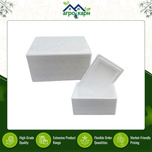 Boîtes isothermes légères et écologiques en mousse EPS/EPE pour la logistique chaude et froide – Qualité supérieure – Exportateur - Product Image 2