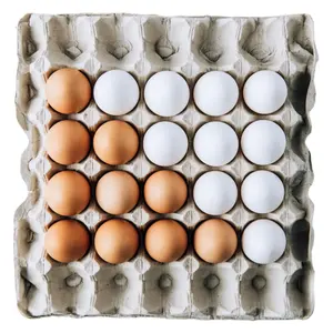 Proveedor Directo del Exportador Líder de Huevos de Gallina de Engorde Marrones para la Venta, Huevos de Gallina de Granja, Huevos de Mesa Marrones Frescos - Product Image 6