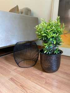 Fancy Black Metal Flower Pot With Circular Wire Design Indoor Plant Planter Modern Style Powder Coated Finish - Product Image 6