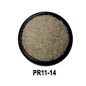 เพลิดเพลินกับข้าวสาร PR 11/14 ที่มีคุณค่าทางโภชนาการ เหมาะสำหรับการต้ม นึ่ง และเตรียมอาหารข้าวเนื้อนุ่มฟู สำหรับการใช้ในชีวิตประจำวัน - Product Image 1