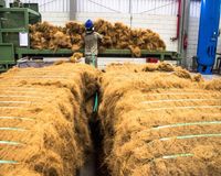 VIFARMEX Vietnam usine OEM fibre de coco | Exportation de fibre de noix de coco en vrac à prix d'usine compétitif