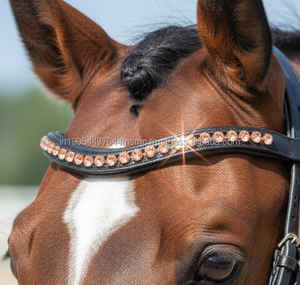 Fronture de cheval en cuir courbé de qualité supérieure avec cristaux de strass or rose, décoration de bridon durable - Product Image 6