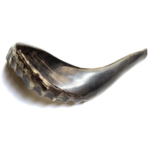 Tubo Hueco Curvo Pulido de Cuerno de Búfalo, Material Orgánico Ecológico Negro Natural, Decoración para el Hogar, Manualidades de Pascua - Product Image 2