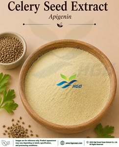 Suministro directo de fábrica de HGO Extracto de semilla de apio natural puro (grado alimenticio) Especificación apigenina 5% - 98% (extracto estandarizado) - Product Image 1