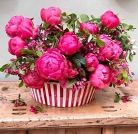 Pot de fleurs en céramique rayé rouge, forme ovale, finition brillante, style rustique, grande capacité, vase décoratif pour table