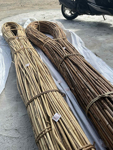 Vietnamese Natural Solid Rattan Cane Poles Round 200cm Length for Furniture Handicrafts and Weaving - Product Image 4