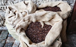 Direct Export Vietnam Specialty Arabica Roasted and Ground Coffee, Top Quality Grade AA+, with USDA Certified, Factory Wholesale - Product Image 3