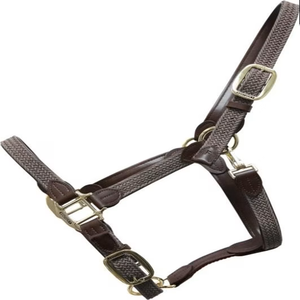 Customized Braided Design Double Adjustable Handmade Plated Nylon Horse <b>Halter</b> with Leather Loops and Golden Fittings - Product Image 2