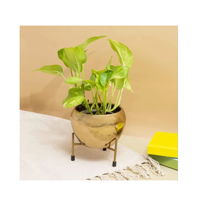 Brass Decorative Planter Pot Indoor Desk Planter Pot Plated Indoor <b>Desktop</b> Planter for Green Plants Minimalist Style - Product Image 1