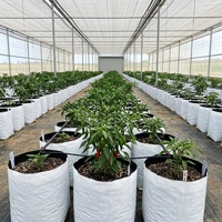 Groothandel Cocopeat kweekzakken - 100% PP materiaal, gatopties voor hydroponie, kas, all-season landbouw, beste prijs-kwaliteitverhouding