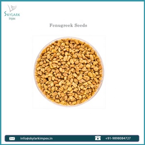 Graines de fenugrec séchées de haute qualité pour la cuisine et l'utilisation, graines de methi naturelles pour l'exportation, approvisionnement en gros - Product Image 5
