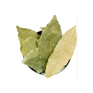 Feuilles de Laurier de Haute Qualité pour Restaurants, Cuisines Domestiques et Services Alimentaires - Product Image 5
