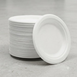 Assiette Ronde de 11 Pouces en Bagasse Naturelle, Fabriquée à Partir de Pulpe de Canne à Sucre Biodégradable, Jetable, Anti-Fuite et Écologique - Product Image 4