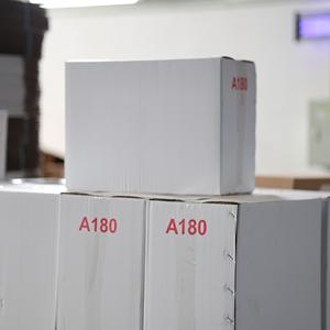 Anacardos con Piel, Sabor Salado, Vietnam, Lata Metálica de 10 kg, Suministro al por Mayor, Certificado ISO, Muestra Gratuita, Orgánico Premium (W180) - Product Image 6